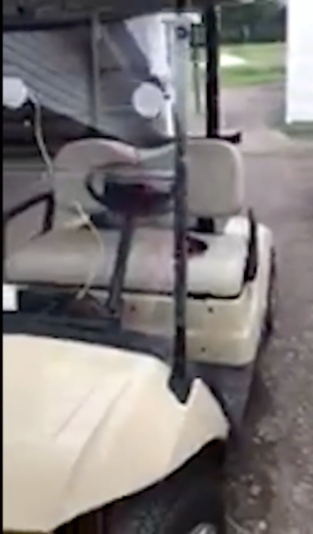 Yamaha Golf Cart.png