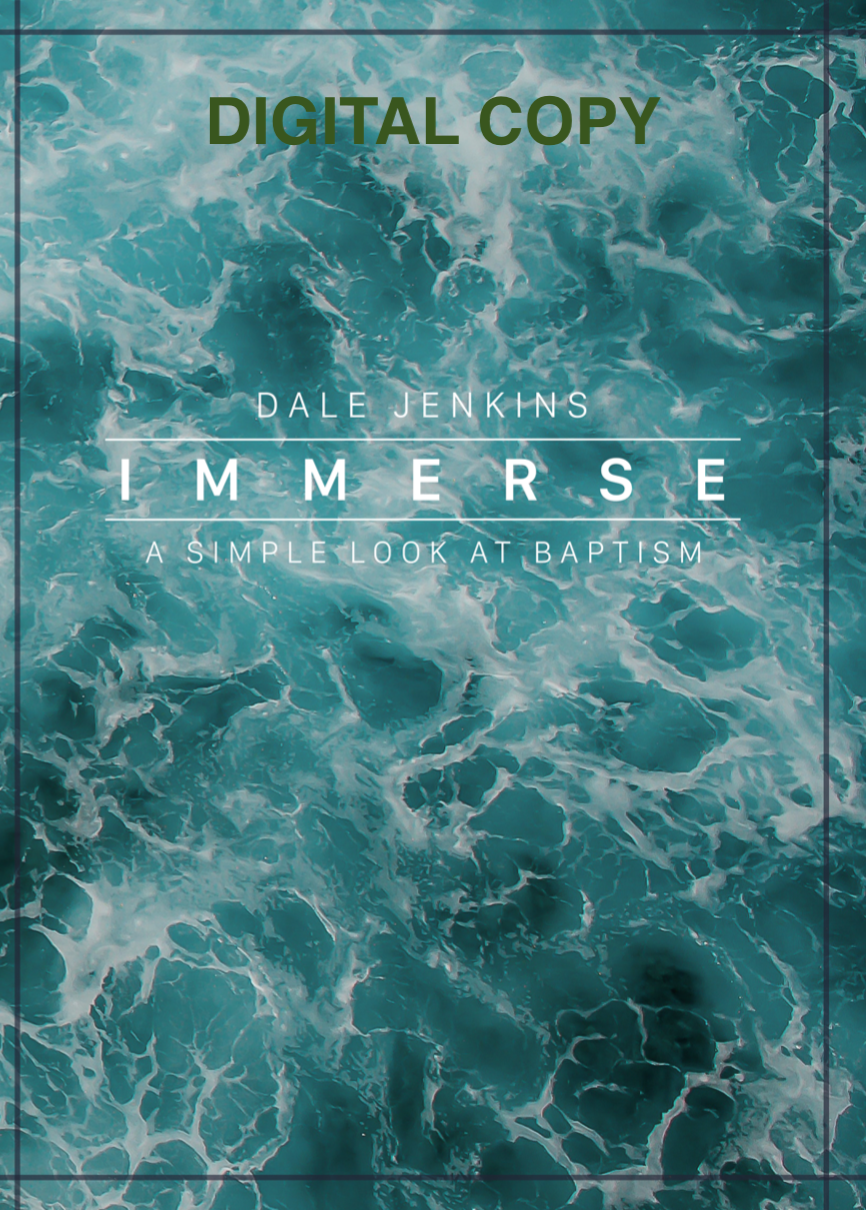 Immerse Cover-digital copy.png