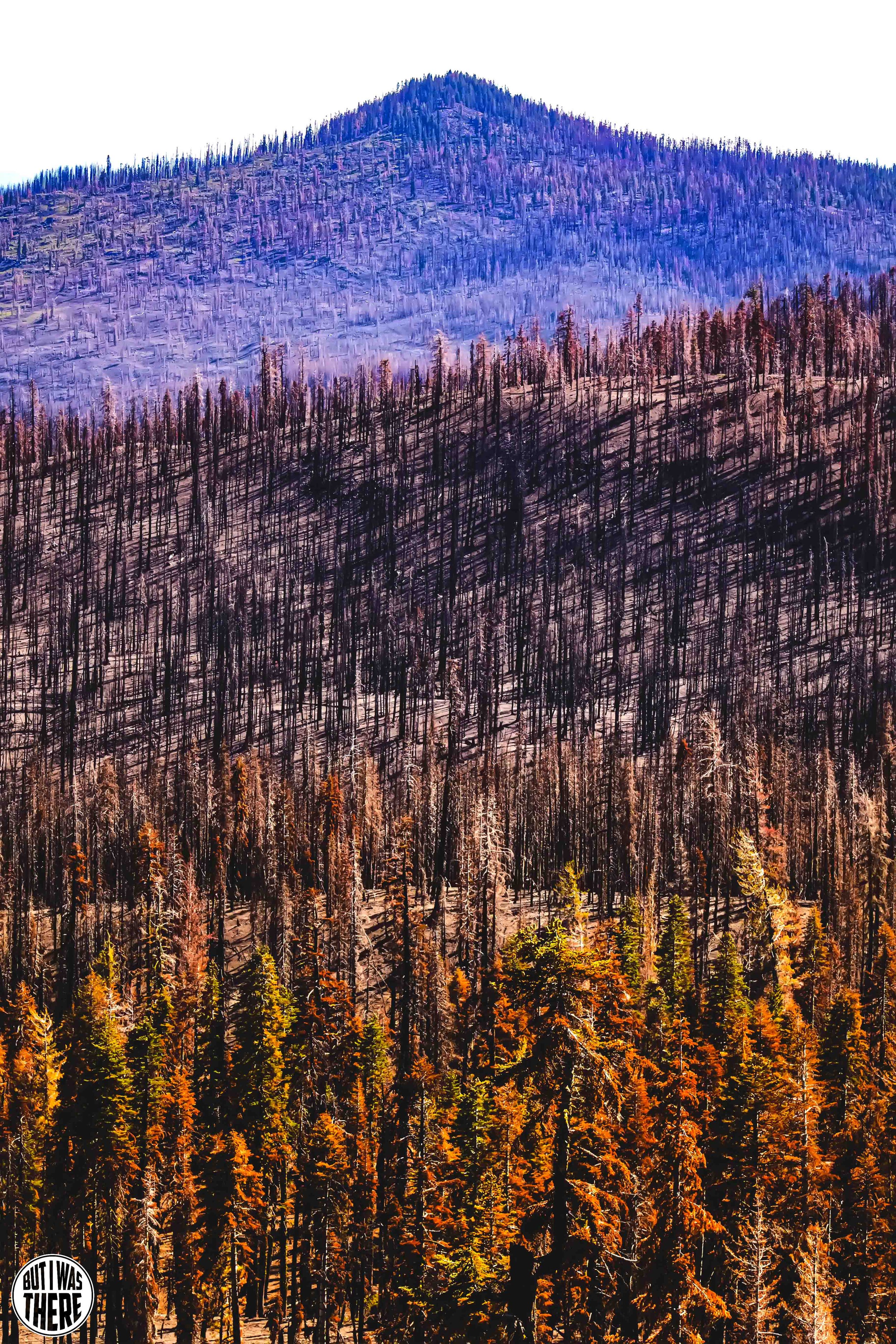400A8677.jpg