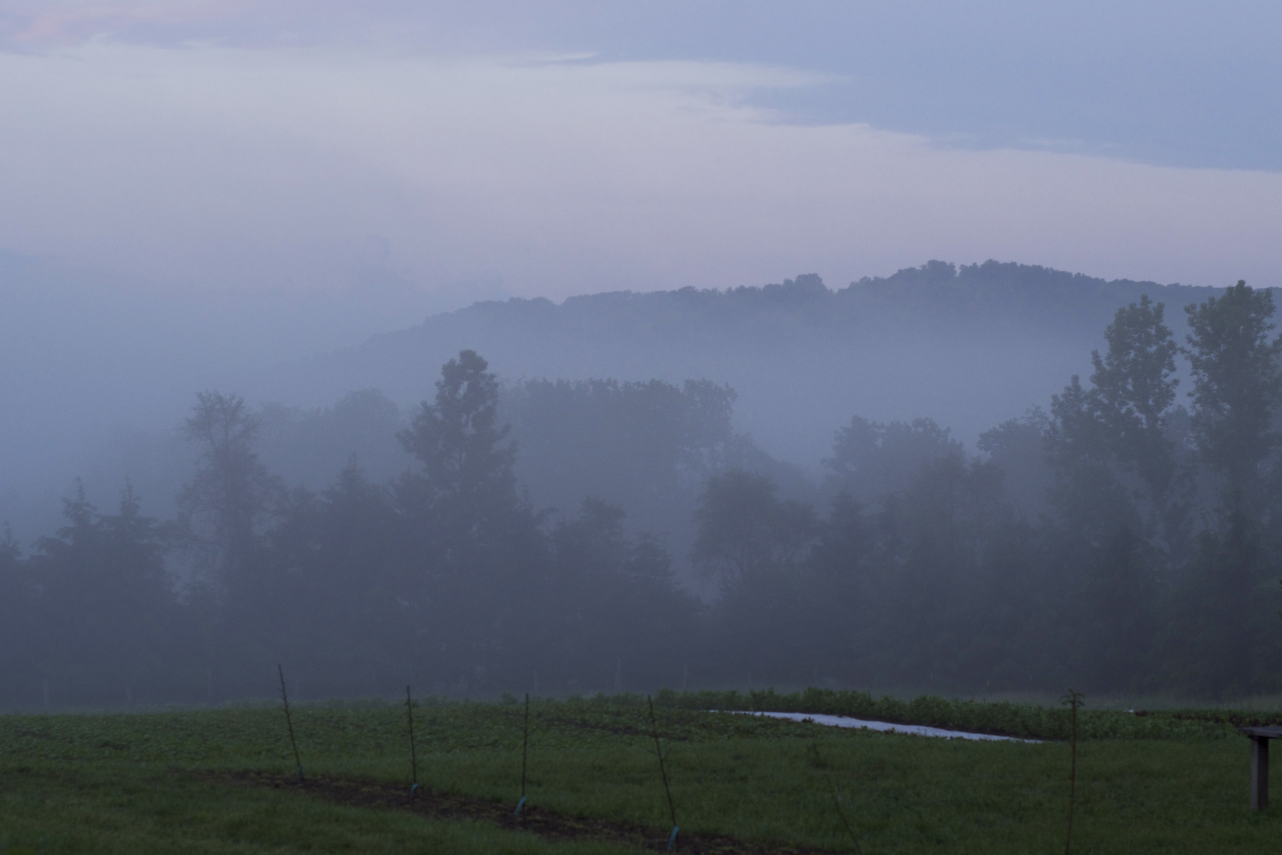 misty morning over timberlee.jpg