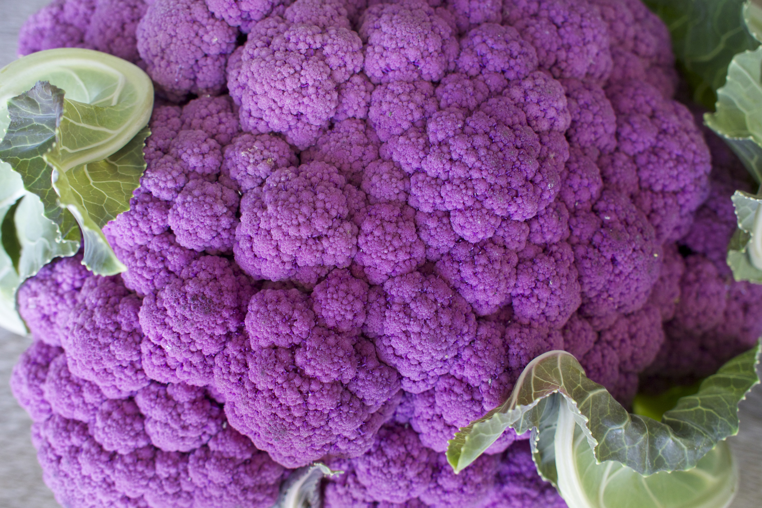 purple cauliflower 2.jpg