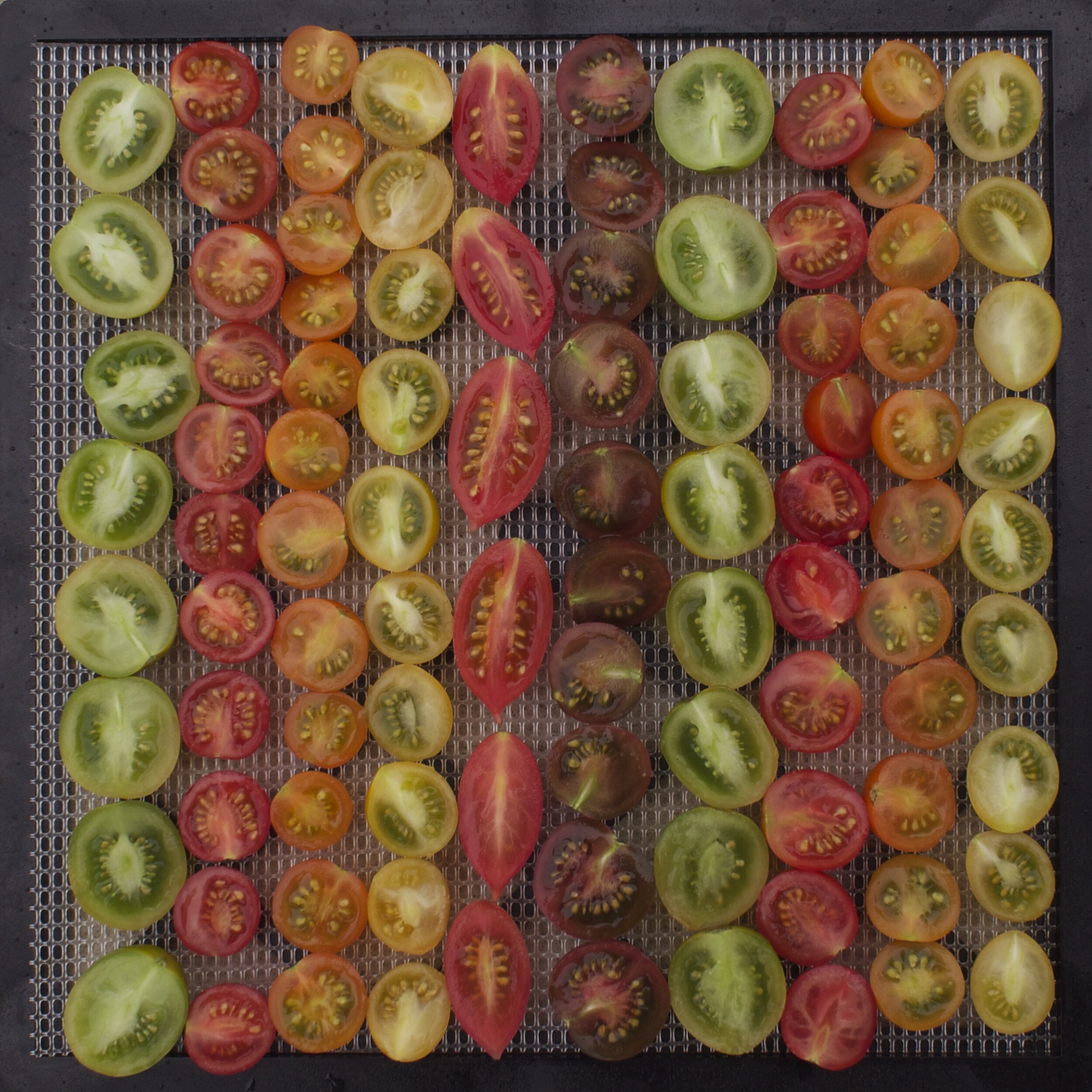 drying cherry tomatoes 1.jpg