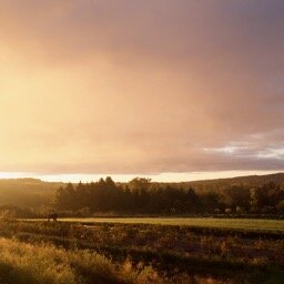 sun rise over south filed.jpg