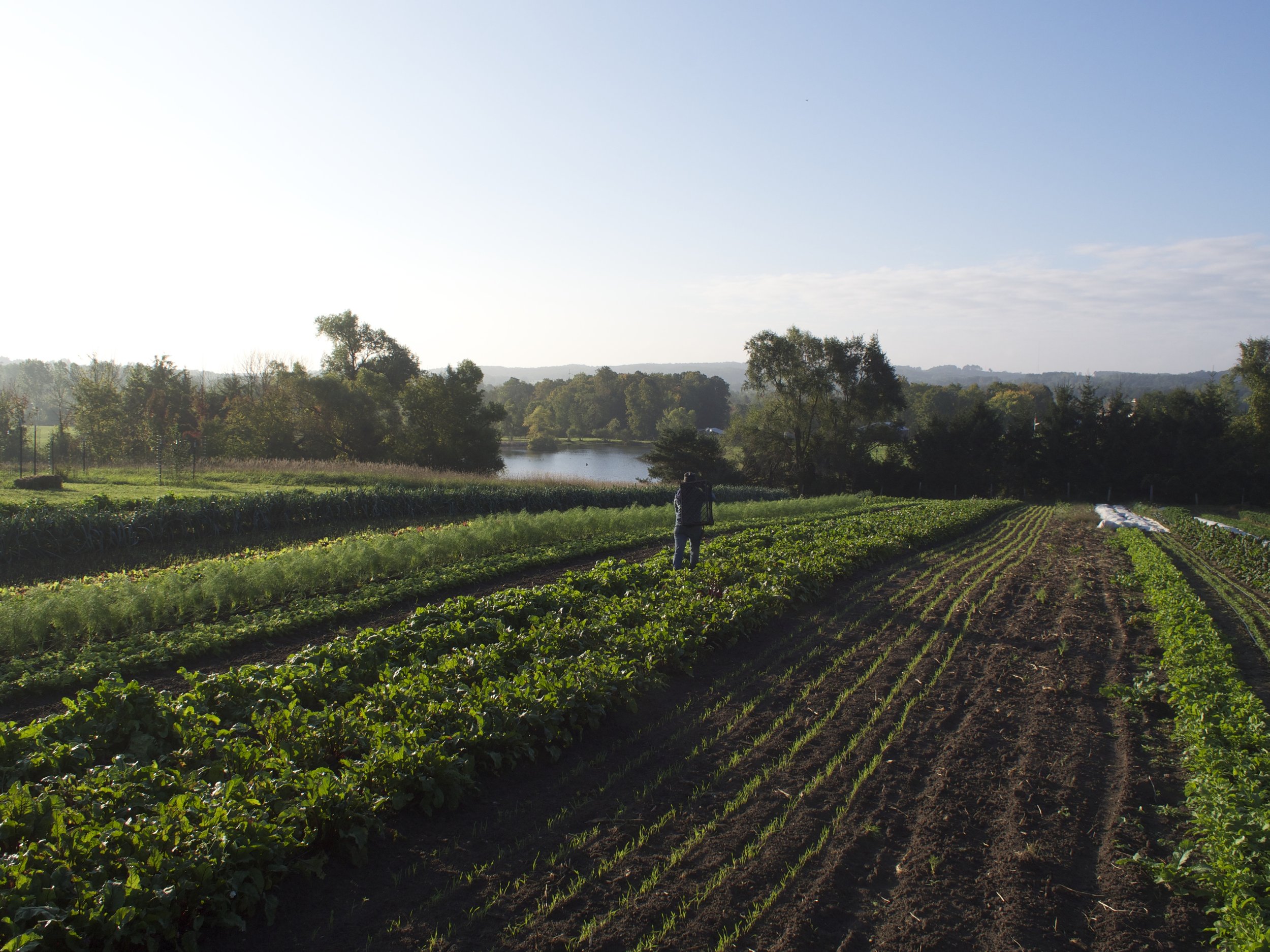 annette beets sw 2 october.jpg