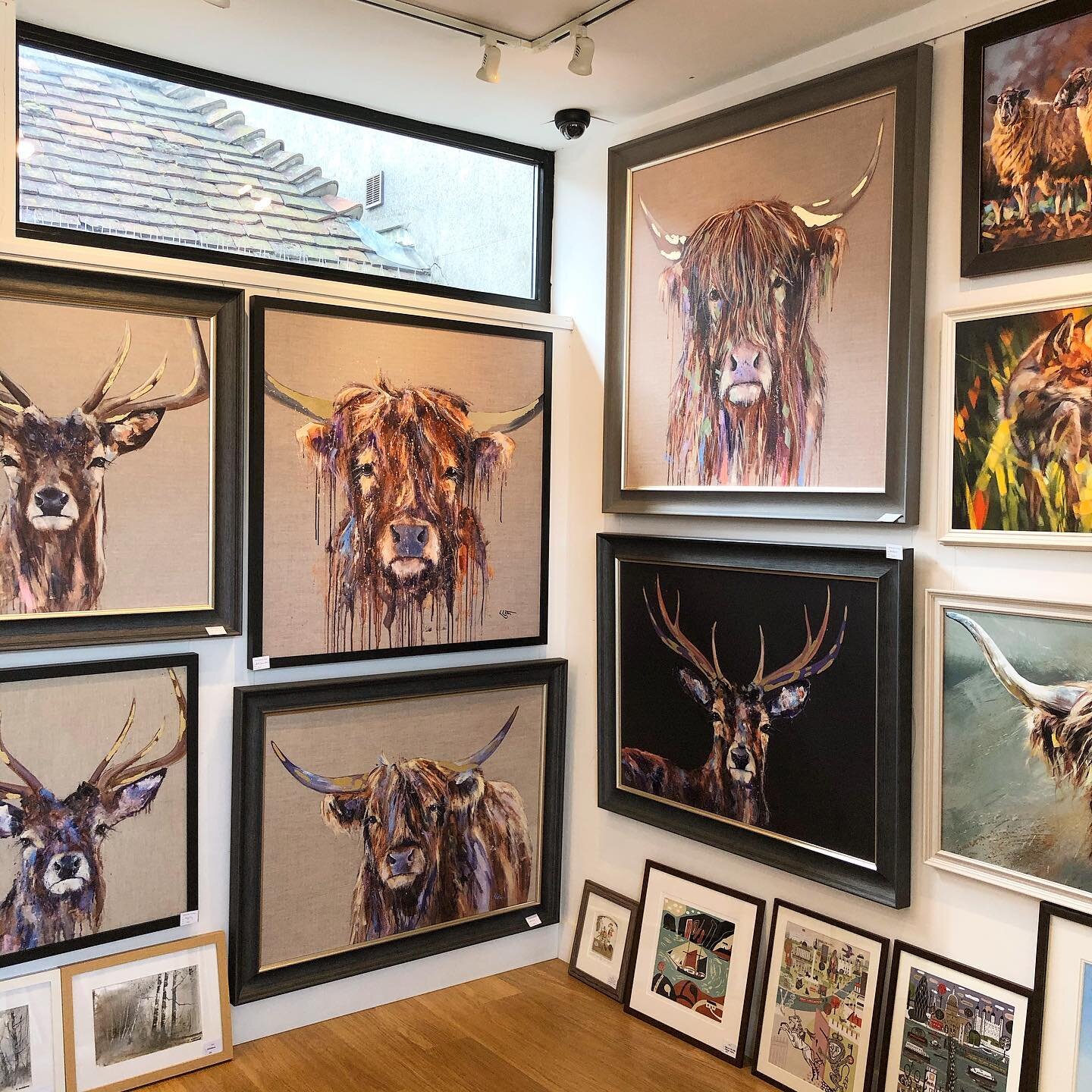 We&rsquo;ve got some lovely new framed animal prints by Louise Luton in the gallery!