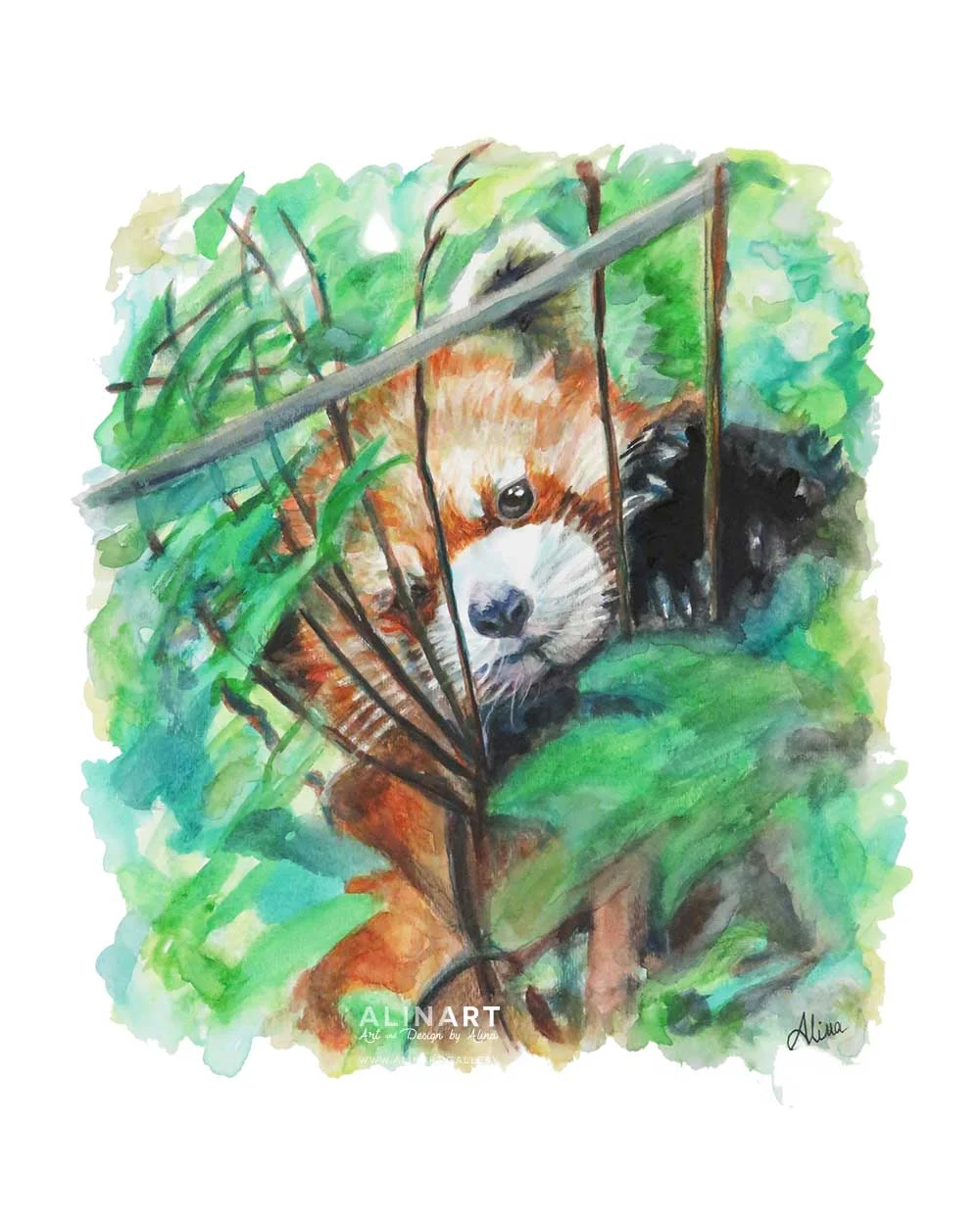 Peek-a-Boo , 2015, Watercolor on paper