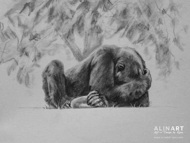 Gorilla Study 1 , 2016, Pencil on paper