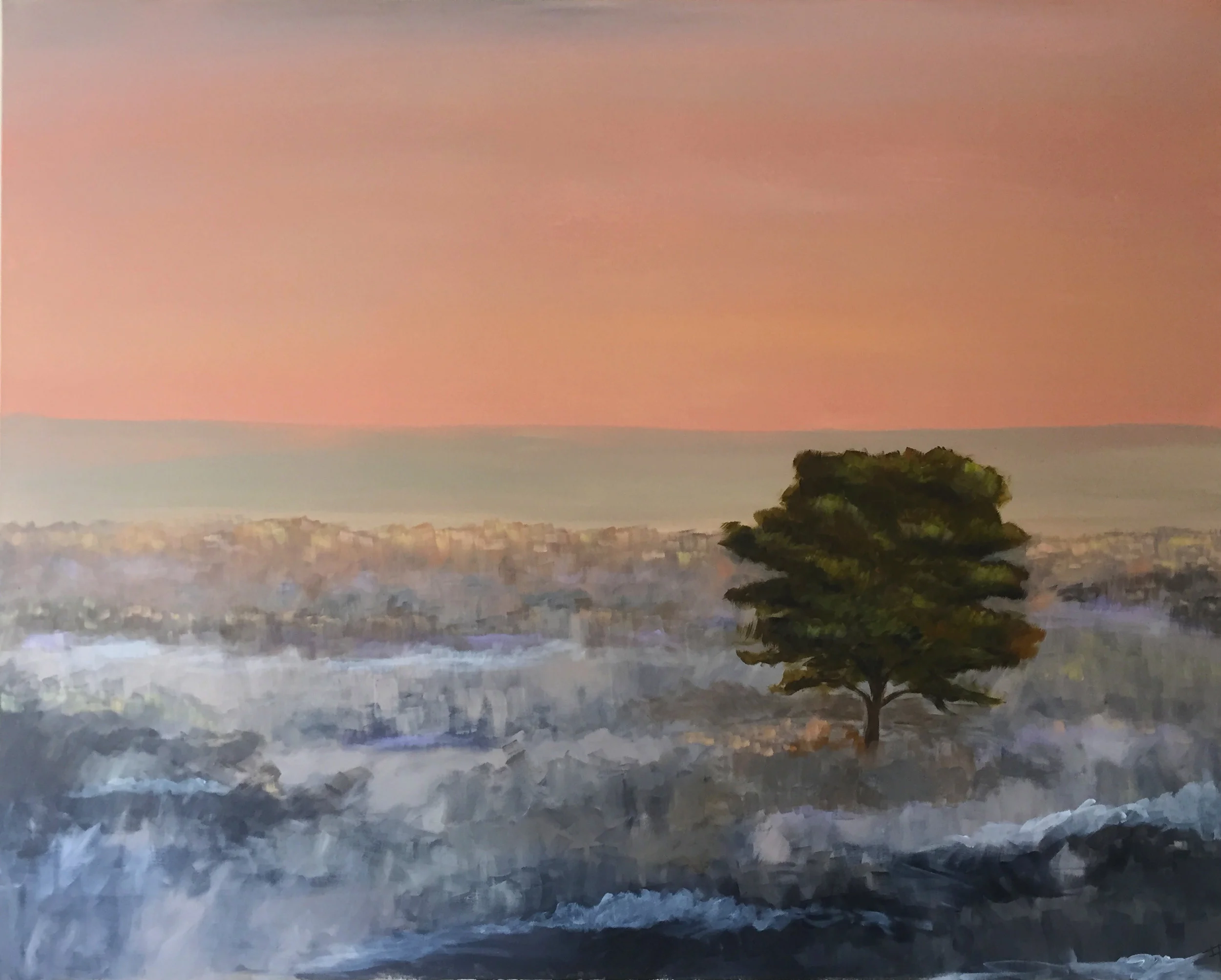 Evening Glow, Cotuit