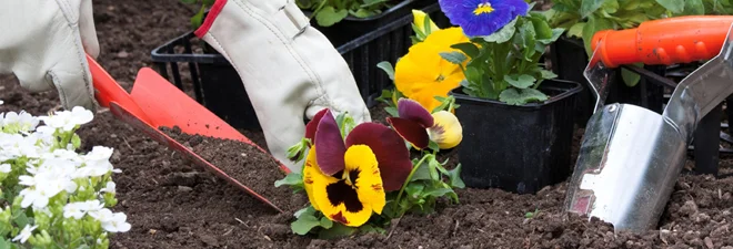 garden.jpg