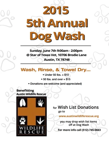 5th Annual Dog Wash - This Sunday