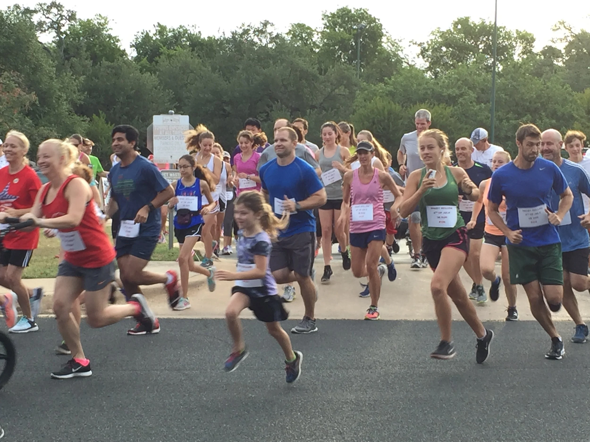 New Gallery — Shady Hollow