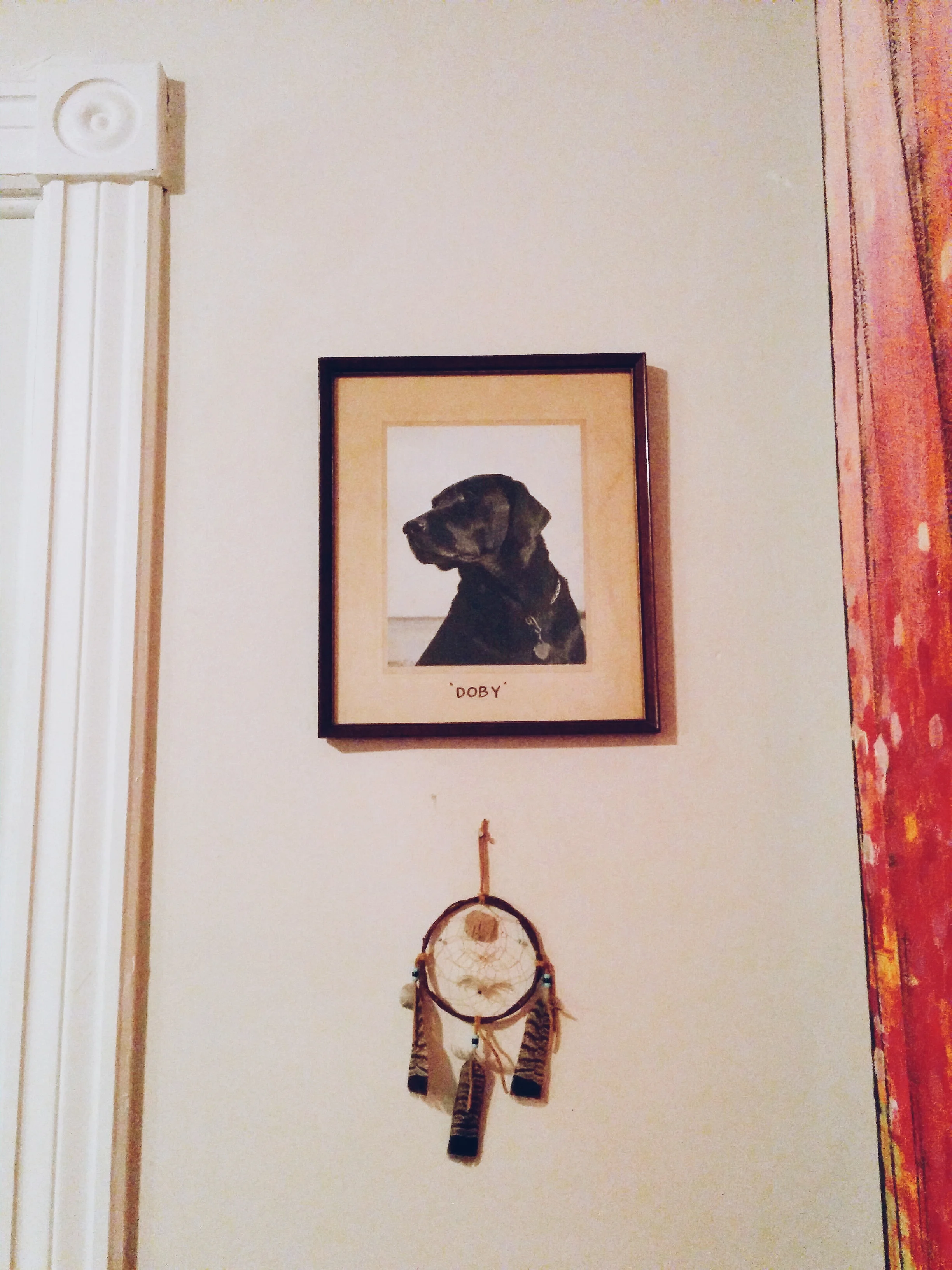 2015-10-25 11.24.49 1.jpg