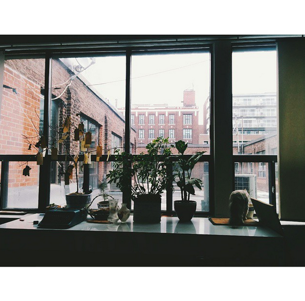 Screen Shot 2015-04-05 at 8.07.03 PM.png