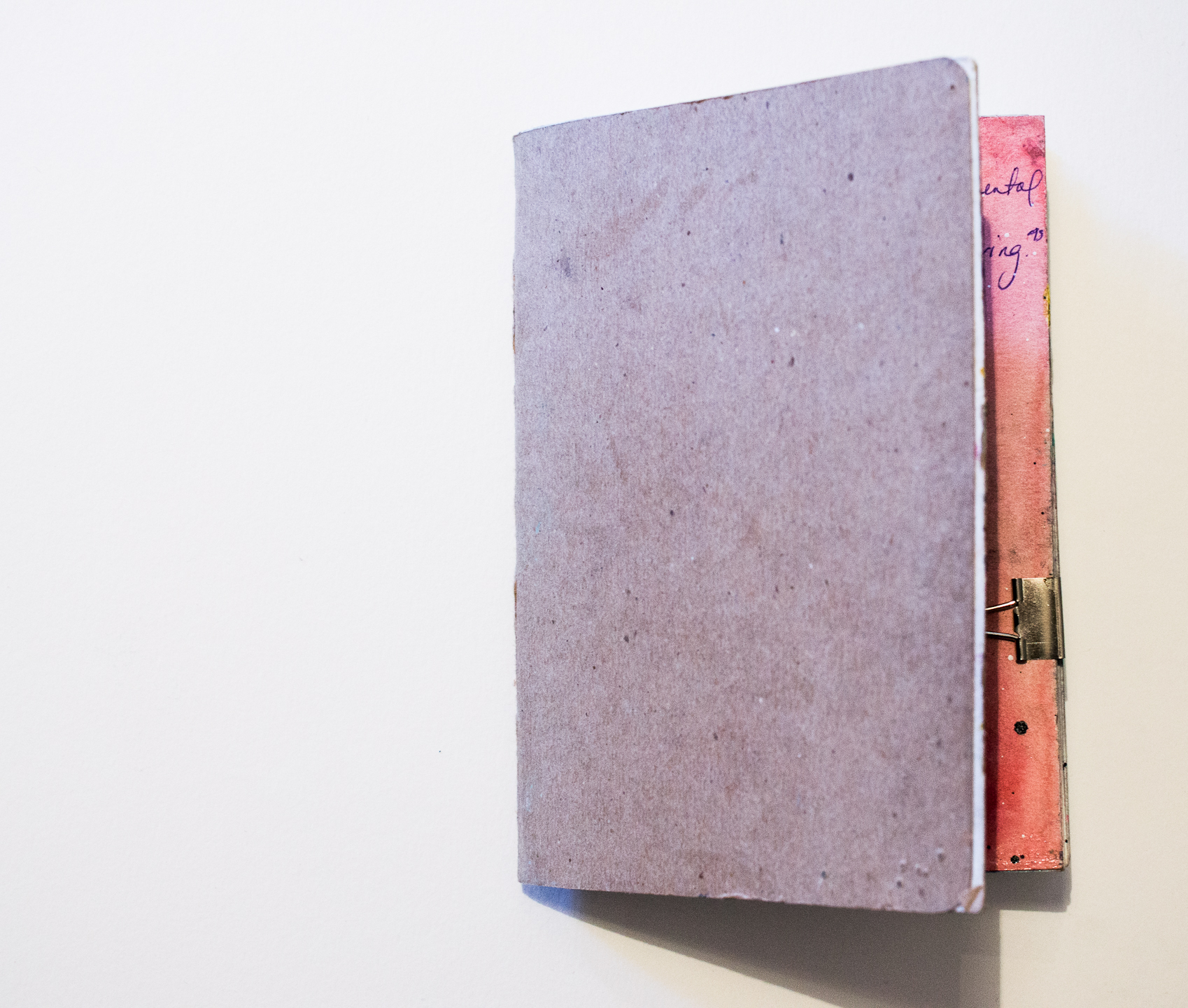 TSP page (2 of 24).jpg