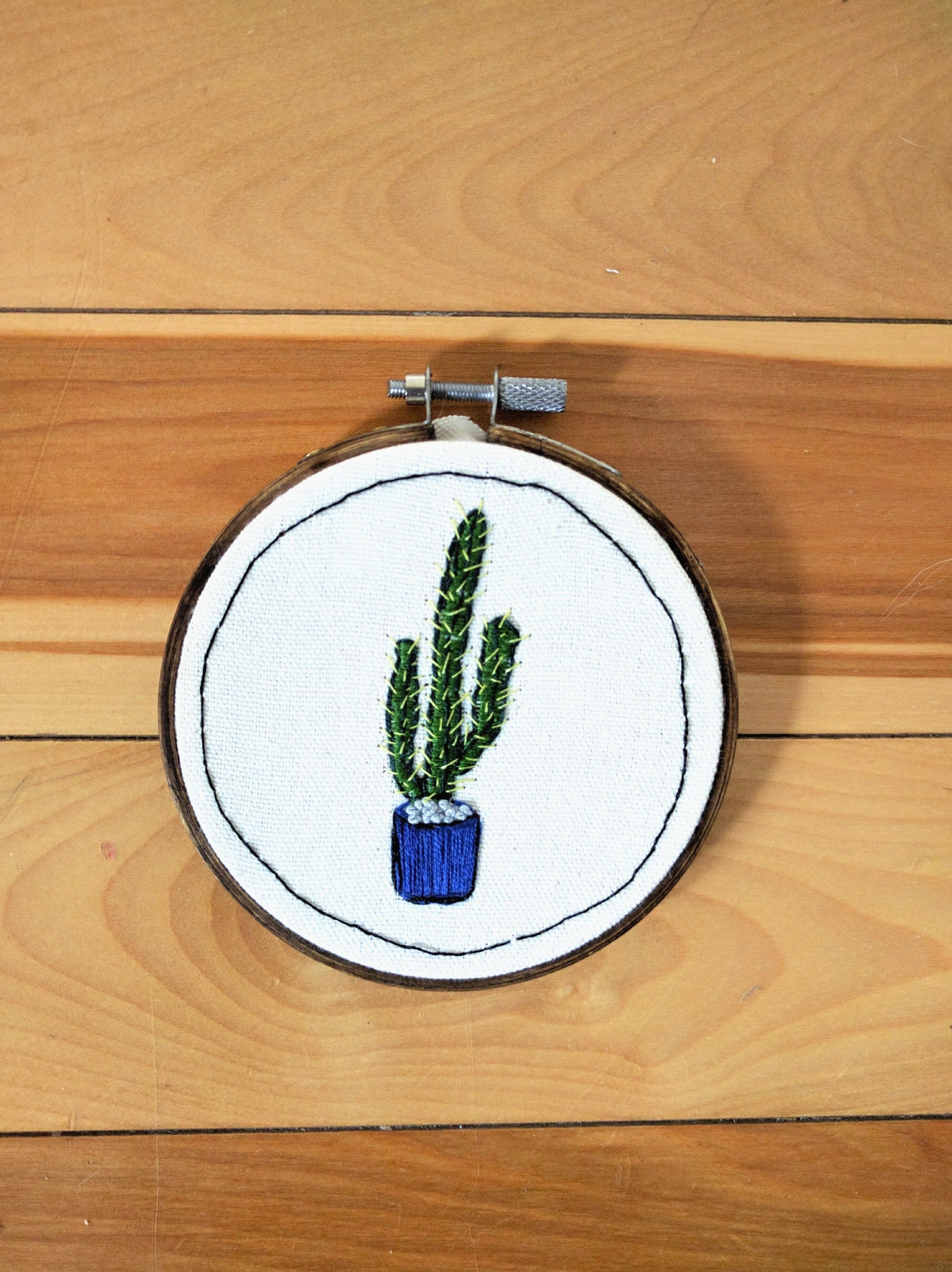 Cactus in Blue Pot