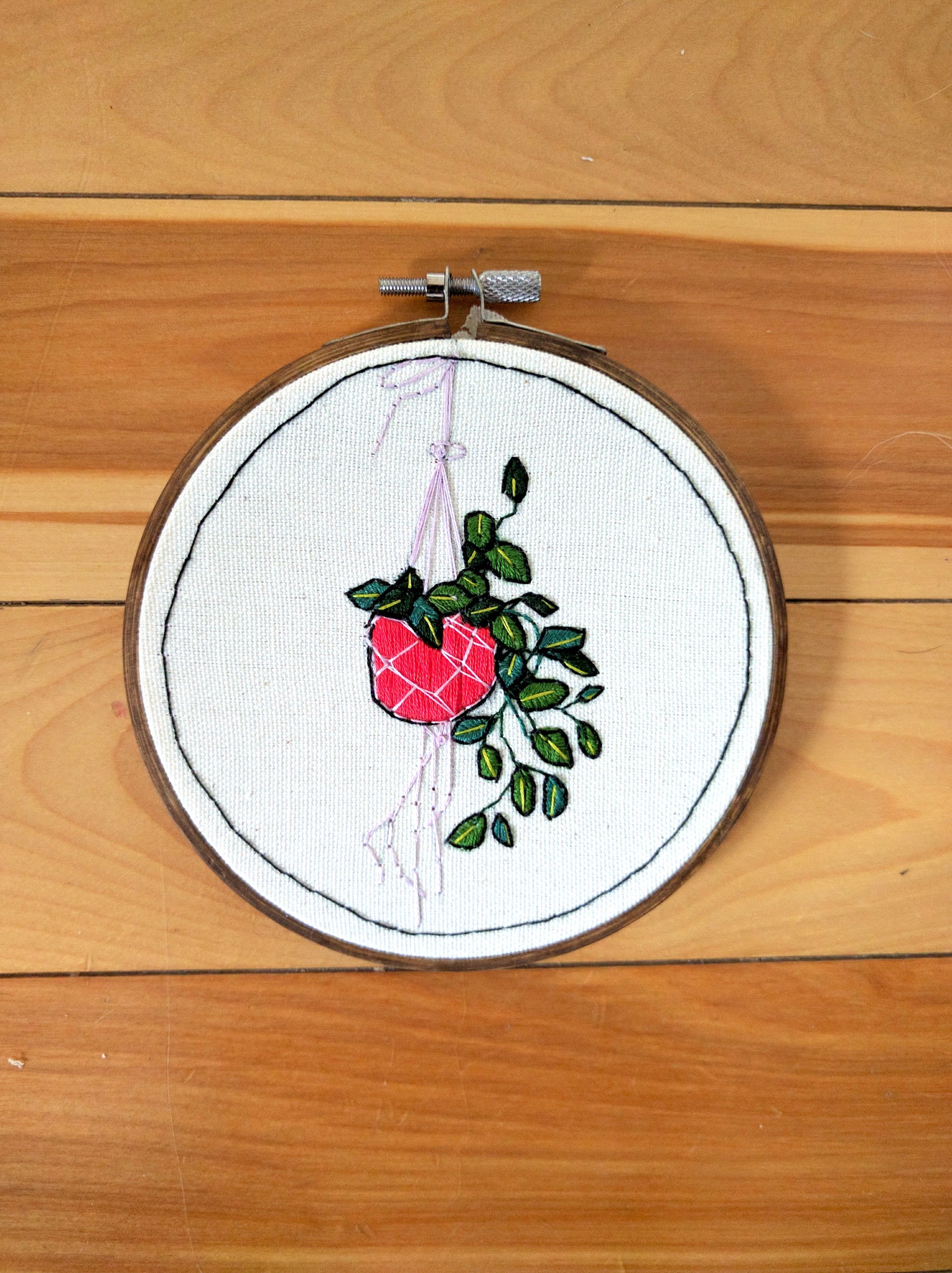 Hanging Plant in PInk