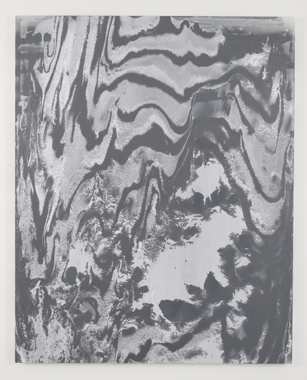 Data Rot, 2014 enamel and acrylic on canvas 48" x 60"