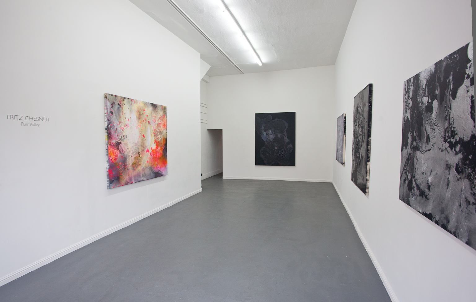   Purr Valley,  Installation view, CULT, Aimee Friberg Exhibitions, 2014 