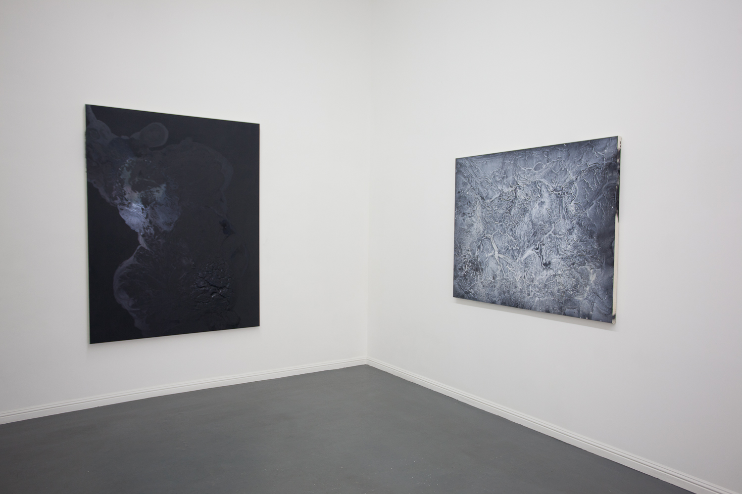 Purr Valley, Installation view, cult, aimee friberg exhibitions, 2014