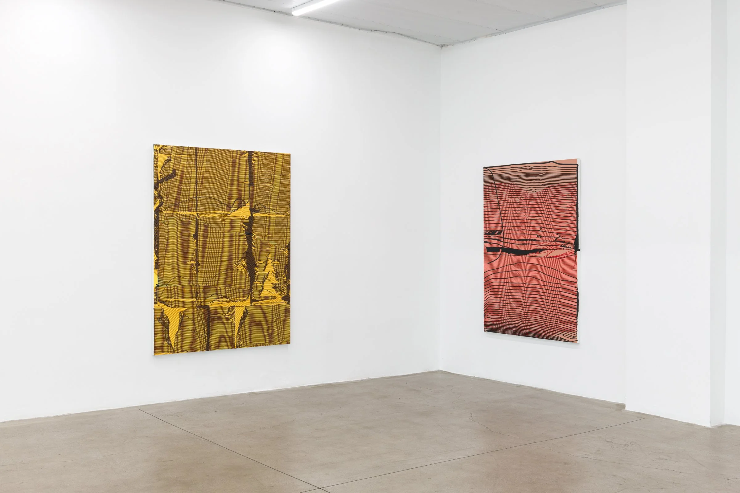  Installation view, Field Recordings, La Loma, Los Angeles, 2025, photo: Ruben Diaz 