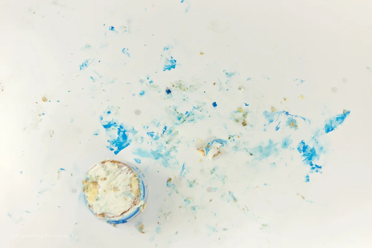 Powell River Photographer, Powell River Easter mini, first birthday, powell river baby photographer, powell river cake smash,