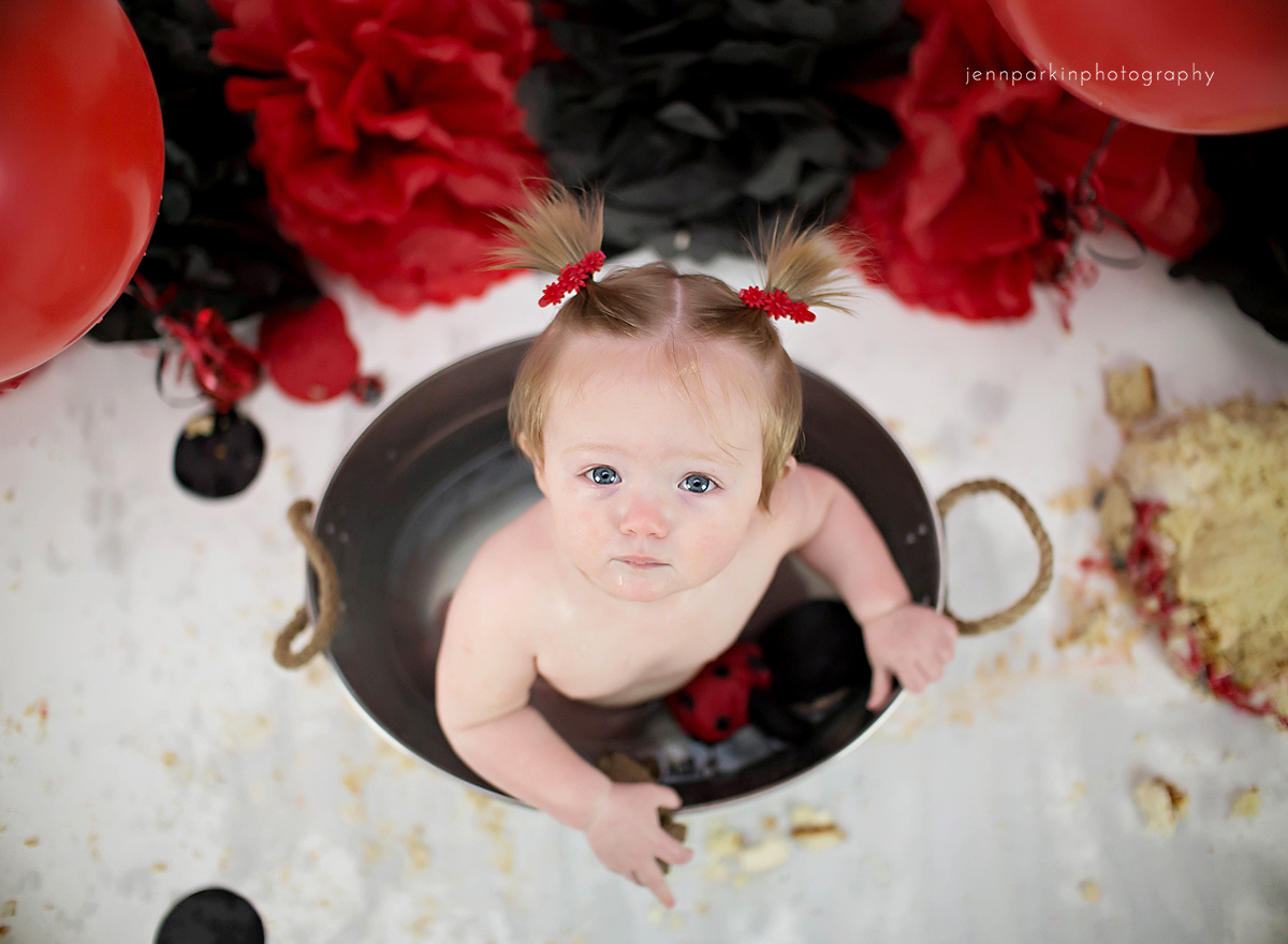 powell river photographer, powell river, powell river cake smash