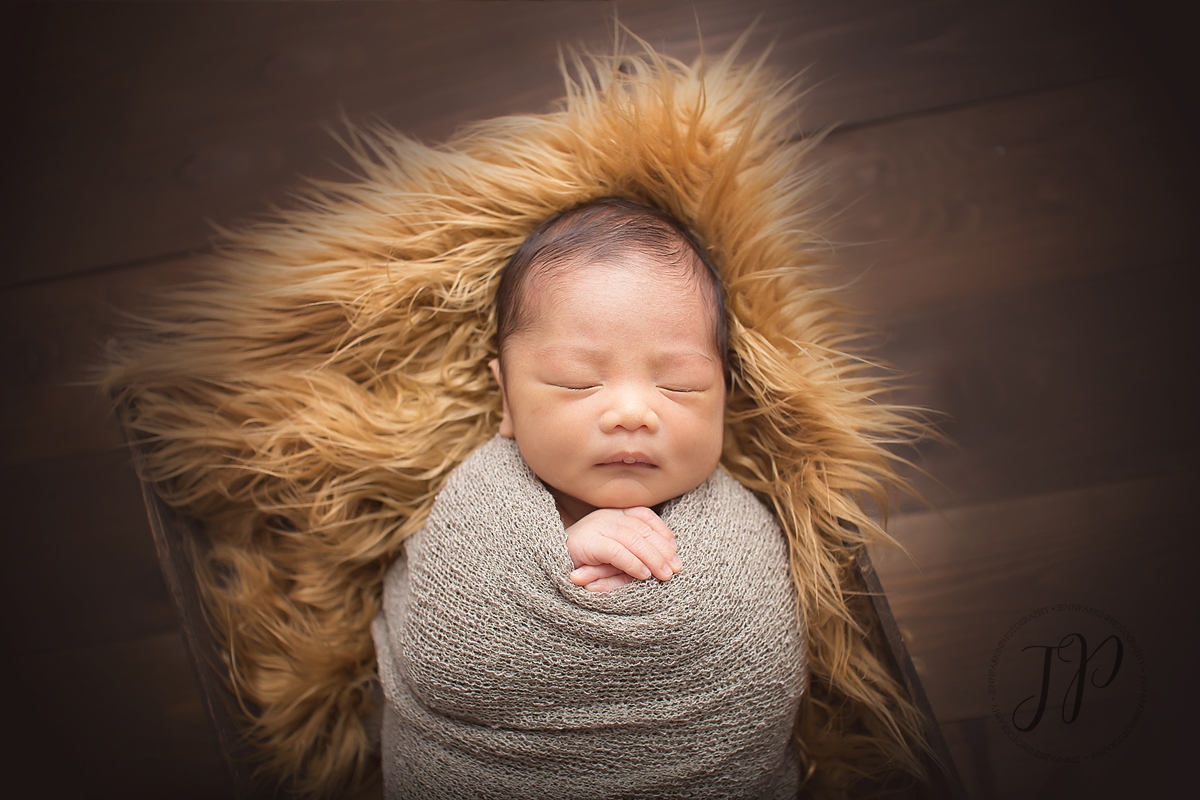 powell river newborn photographer, powell river photographer, powell river newborn, newborn photography, sunshine coast newborn photographer, sunshine coast photographer, powell river studio photographer