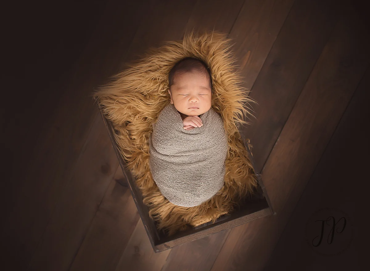 powell river newborn photographer, powell river photographer, powell river newborn, newborn photography, sunshine coast newborn photographer, sunshine coast photographer, powell river studio photographer