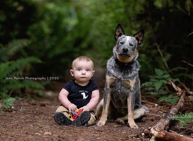 Happy Wednesday! Is there anything more adorable than a baby boy and his dog?
.
.
.
#powellriverphotographer #powellriverbabyphotographer #jennparkinphotography
