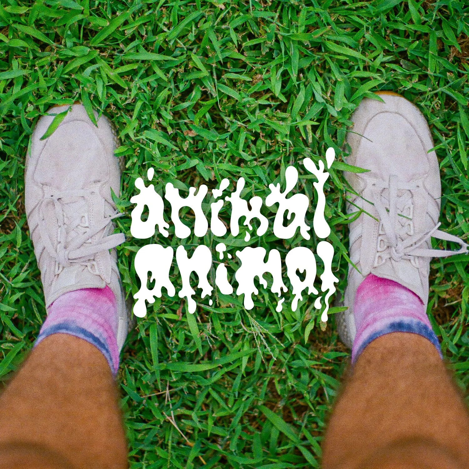 ANIMAL ANIMAL album by Grant Carey (2022) artist • producer • mix