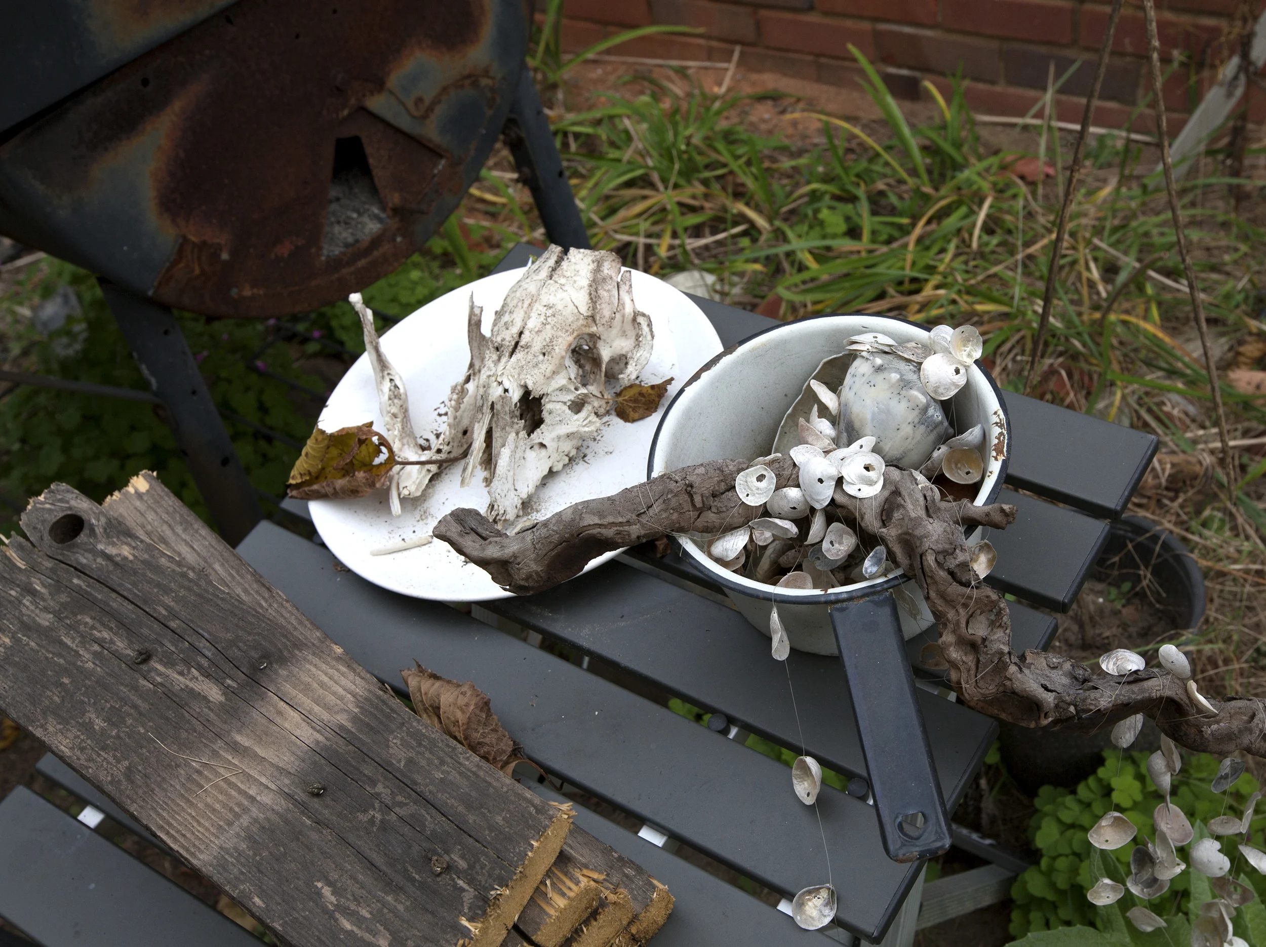 Lawn_Skull_Shell_Matt.jpg
