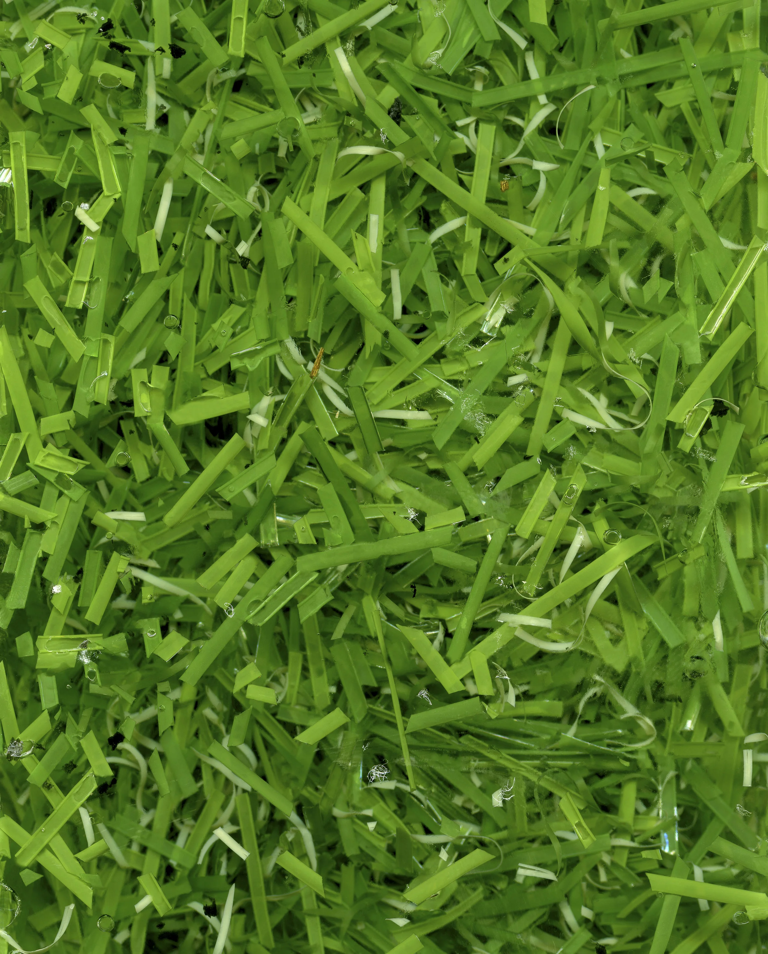 fakegrass.jpg