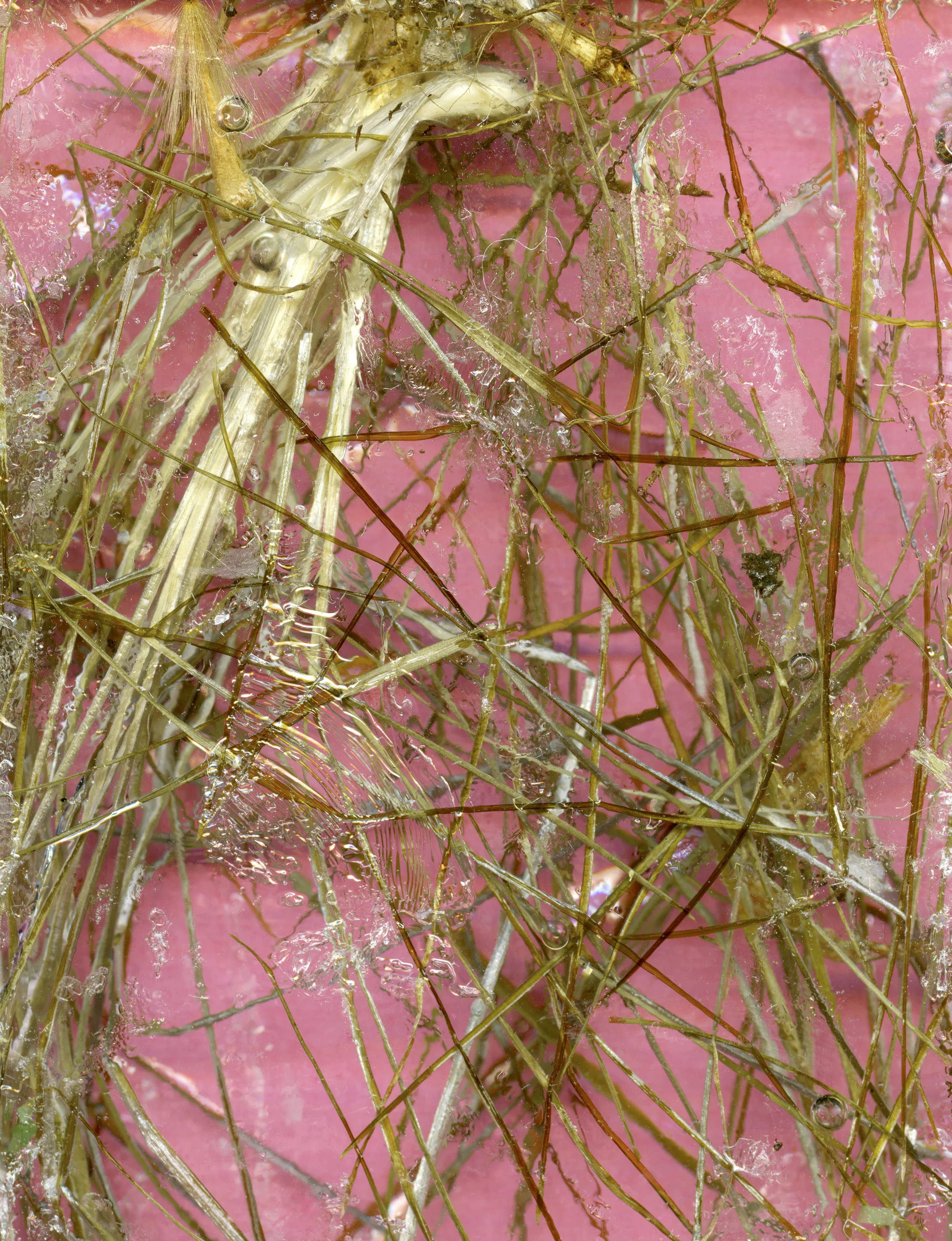 pink.jpg