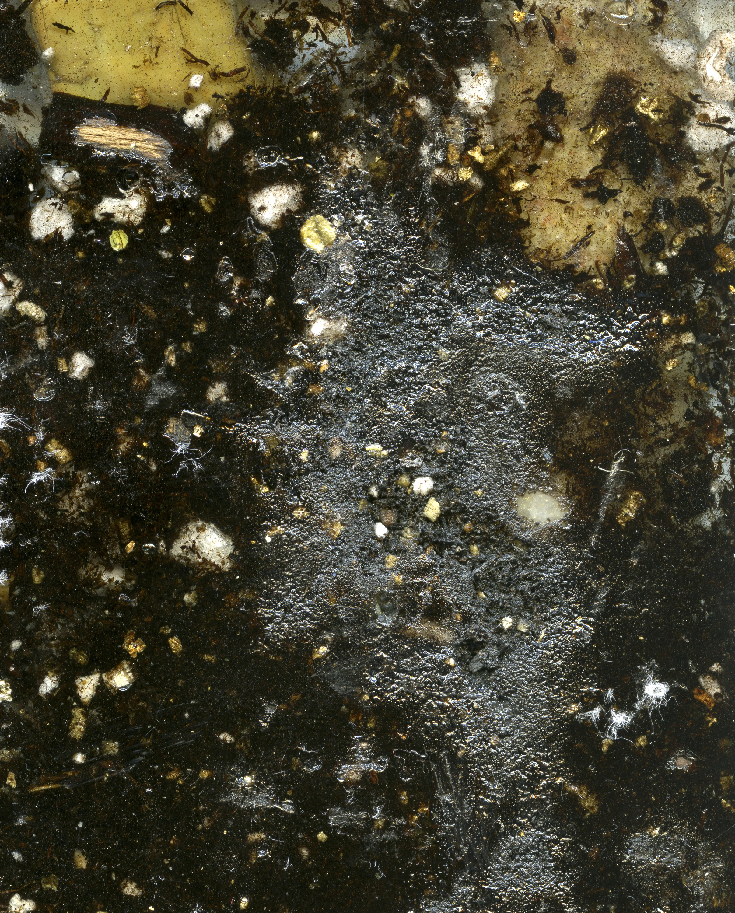 soilrocks.jpg