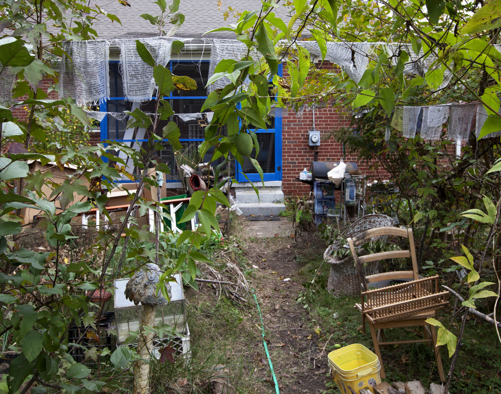 Lawn_Backyard_Looking_In.jpg