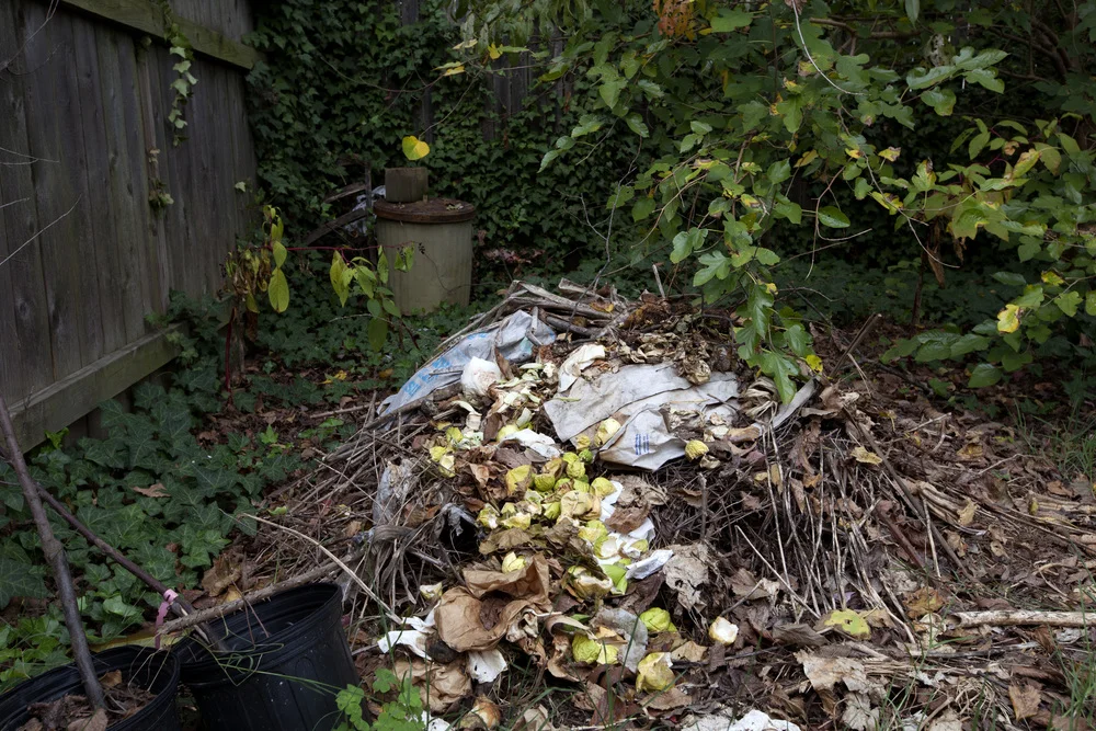Lawn_Backyard_Compost_Matt.jpg