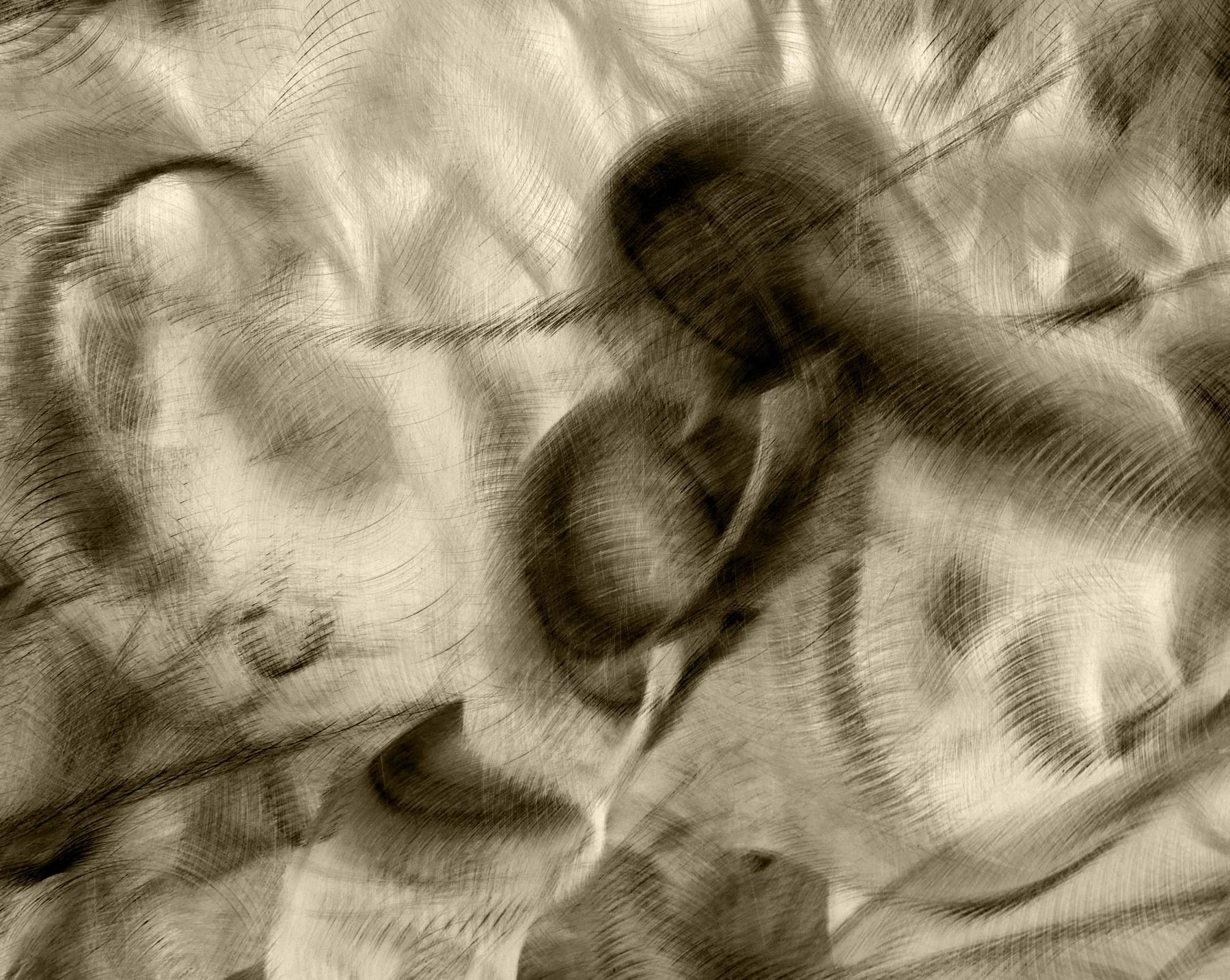 N3C_4538 Vortex.jpg