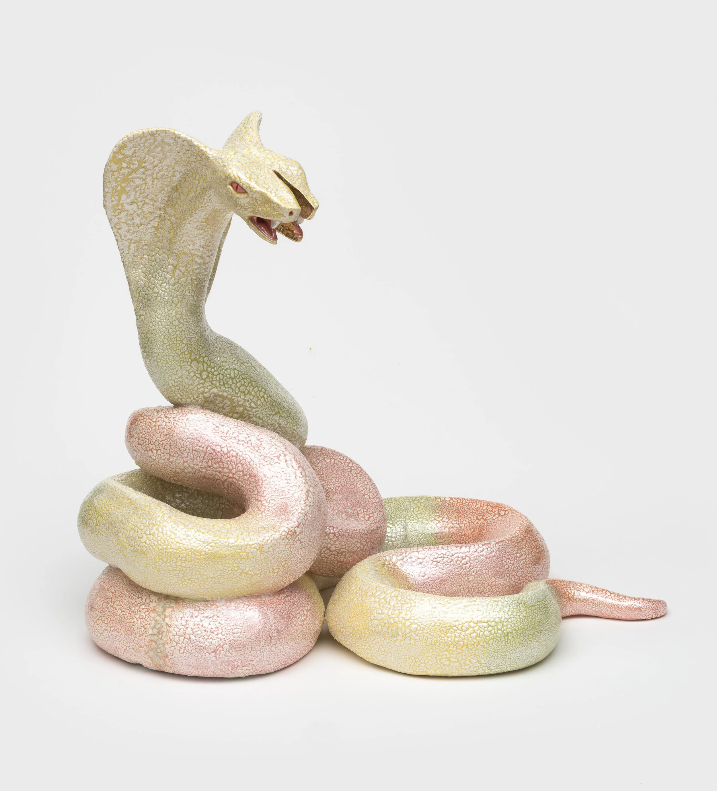 RoxanneJackson_Cobra_05.jpg