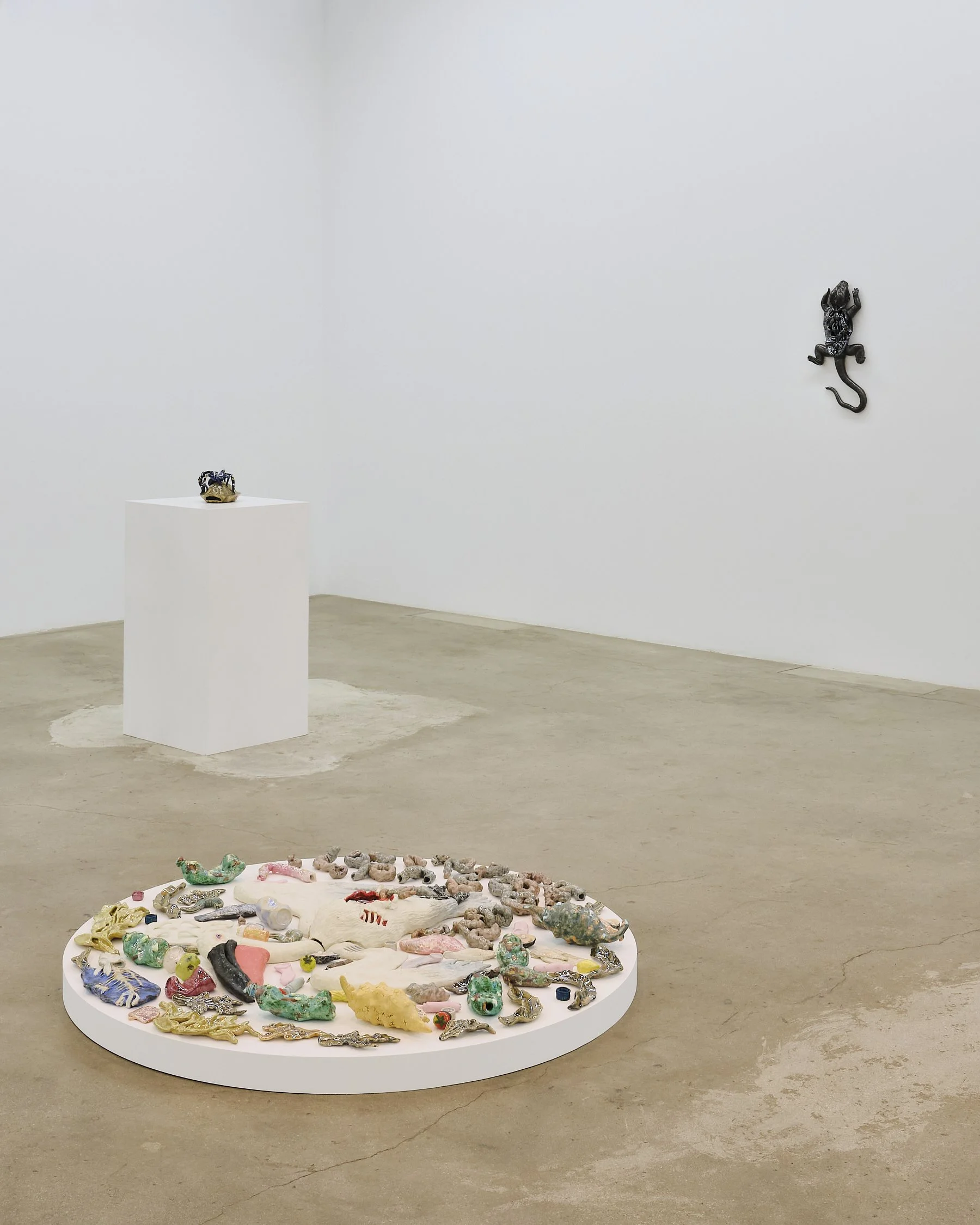 The_Pit_Roxanne_Jackson_installs_009.jpg