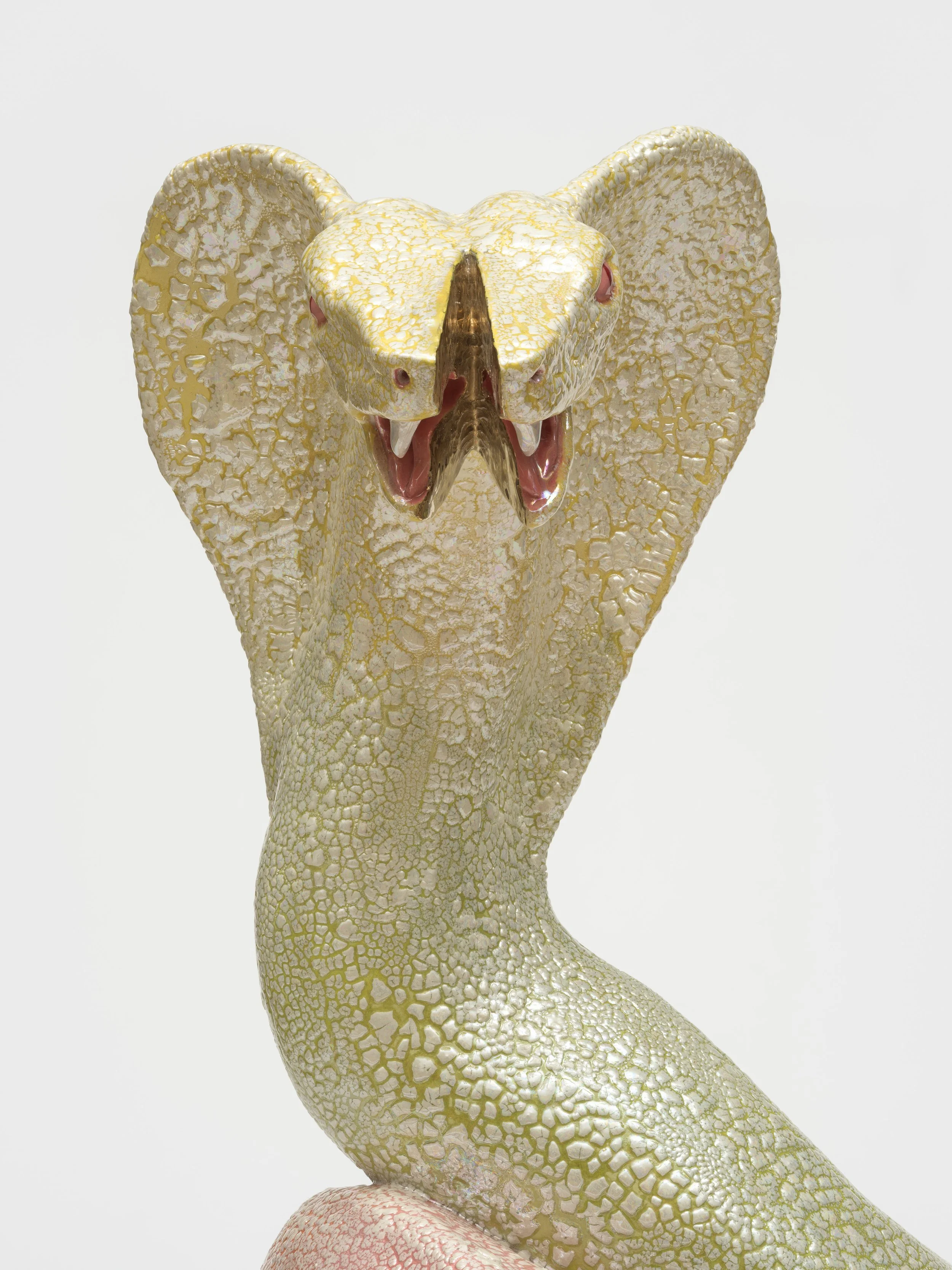 RoxanneJackson_Cobra_08.jpg