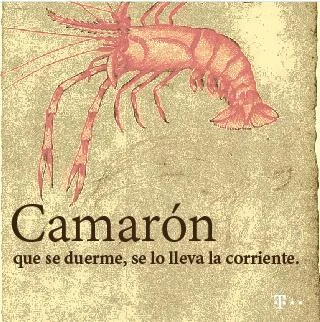 Camarón.jpg