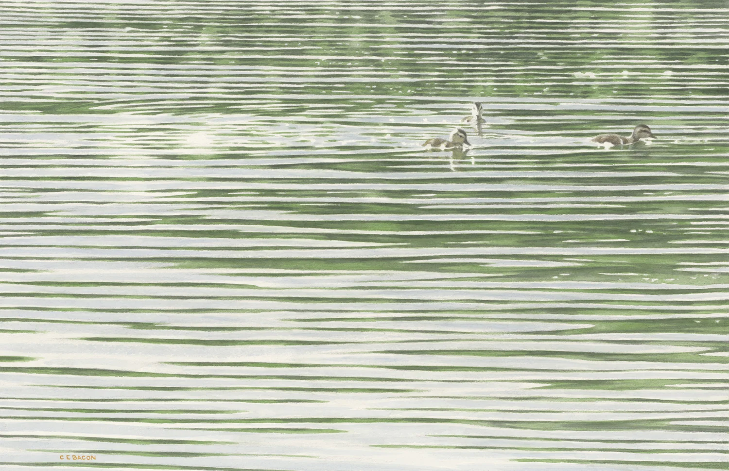 A Study for Mallards