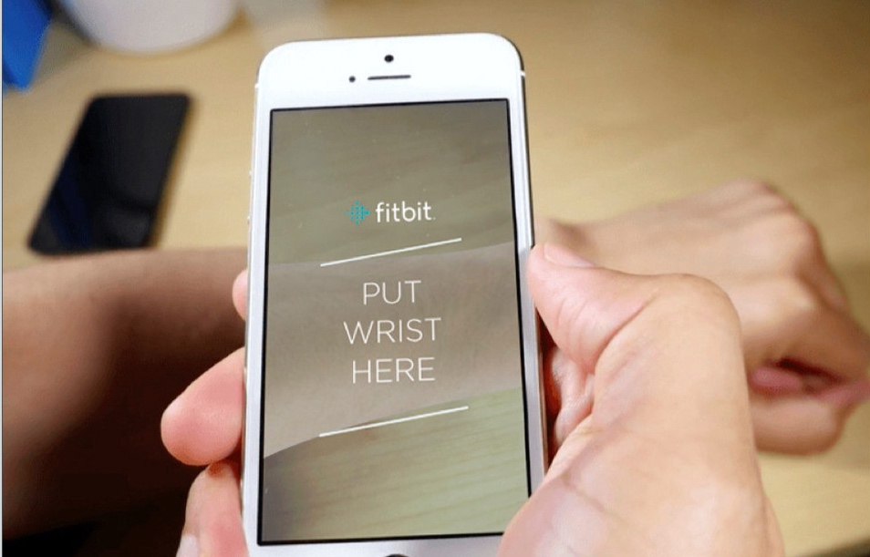 Fitbit_Virtual_Tracker-3.jpg