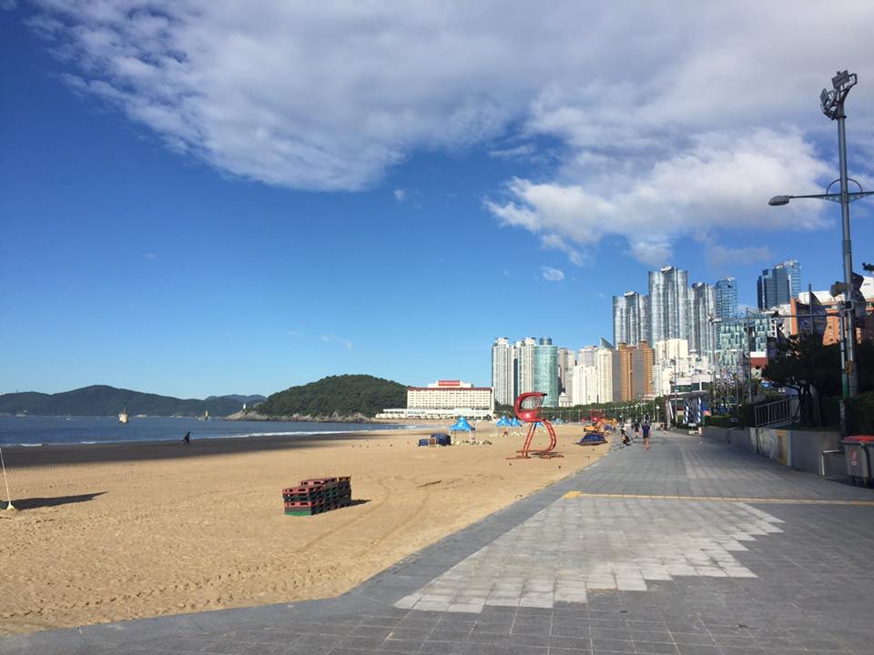 The beaches of Busan