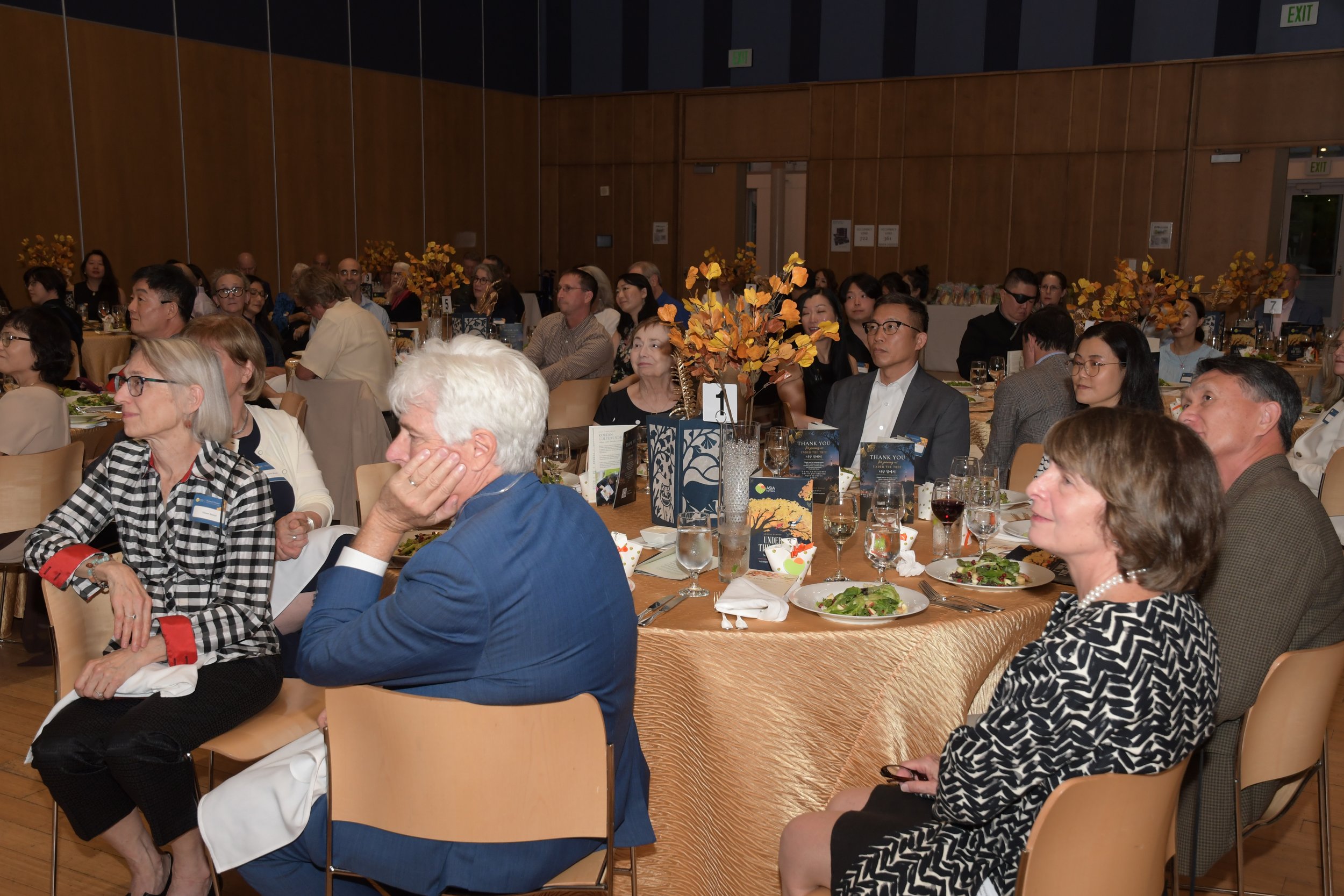 Copy of DSC_9084.JPG