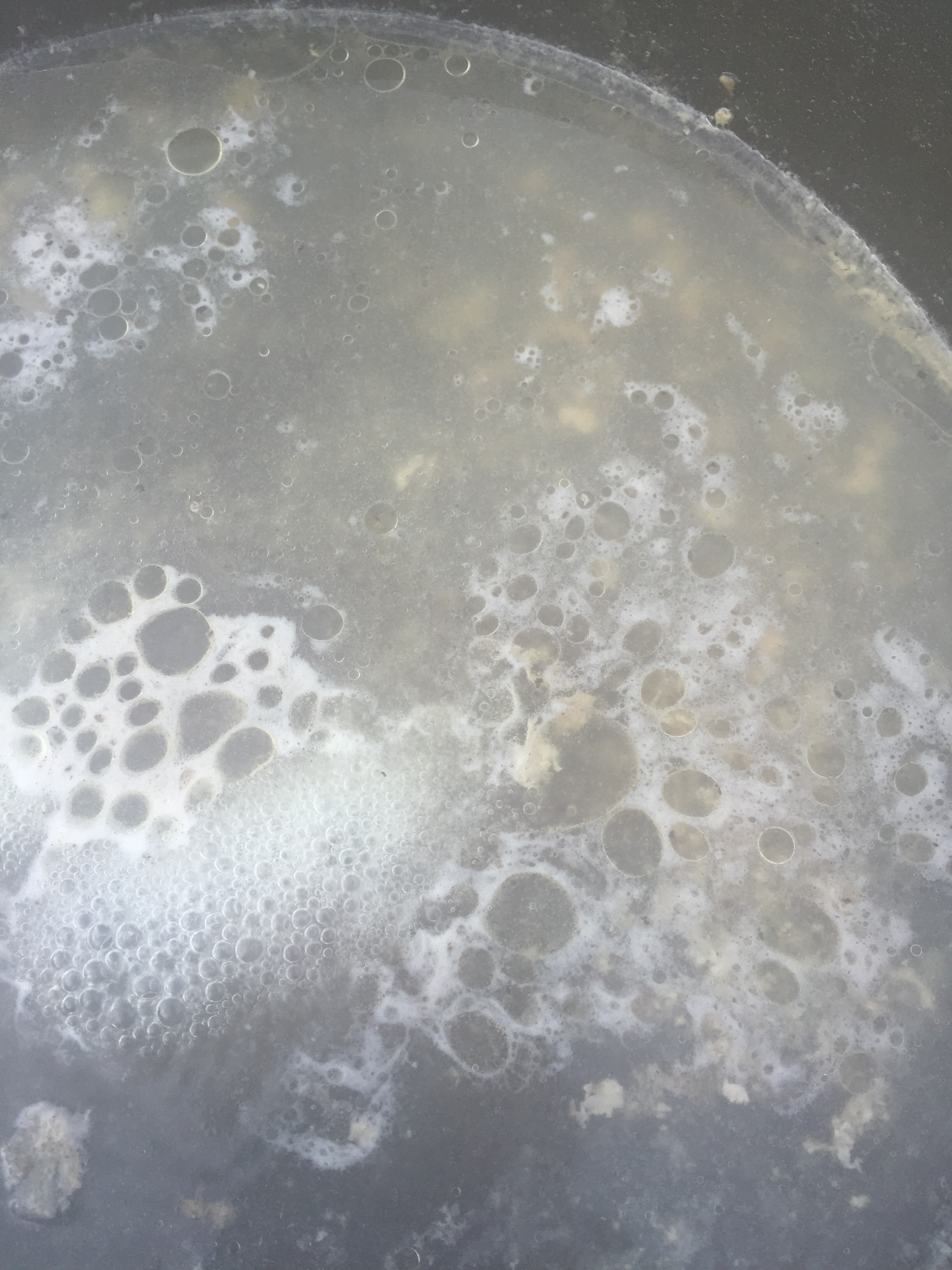 Those white fat globules allow you to be more awesome on the trail. 