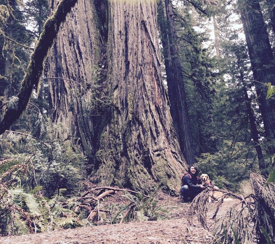 redwood national, 7, and sam