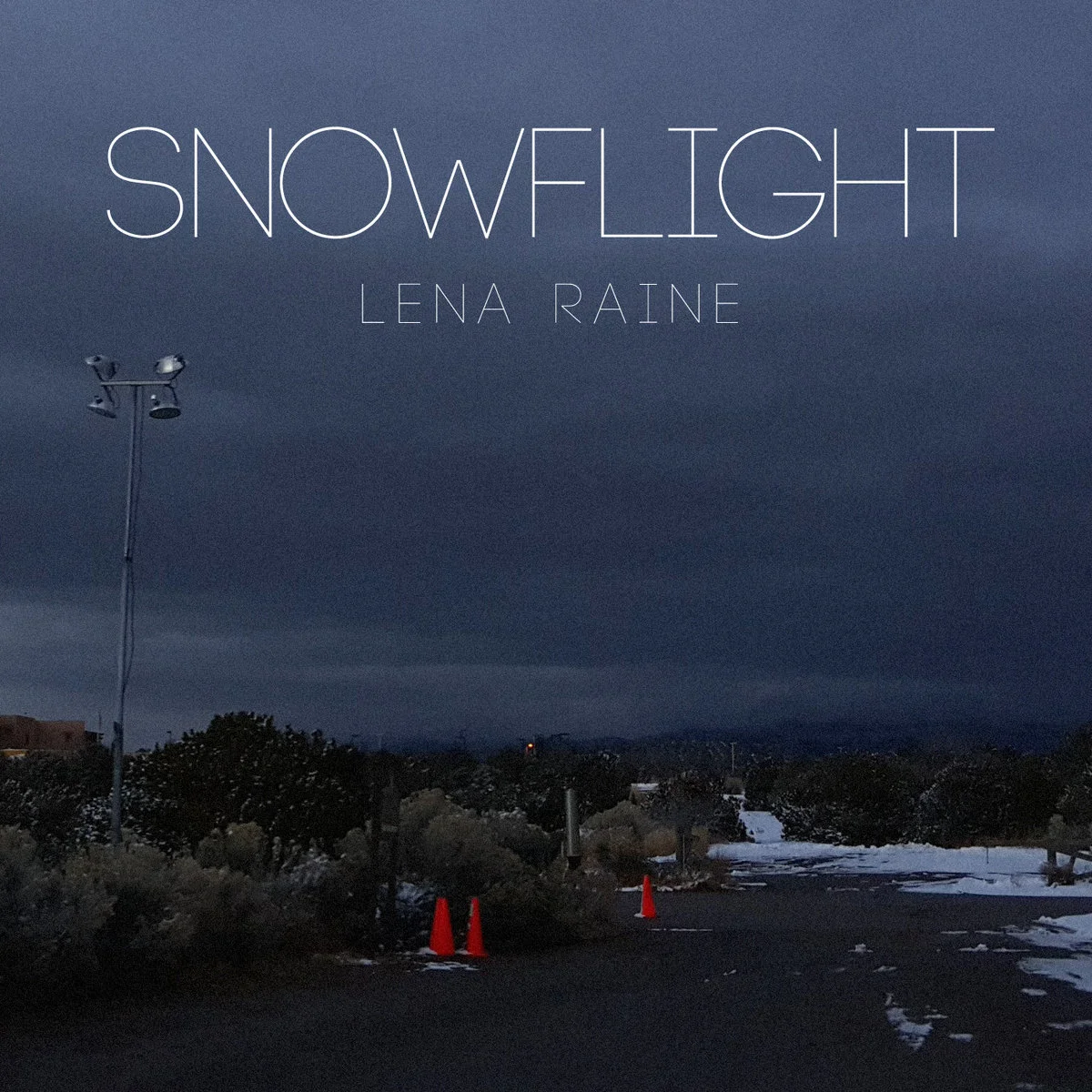 Snowflight (2006)