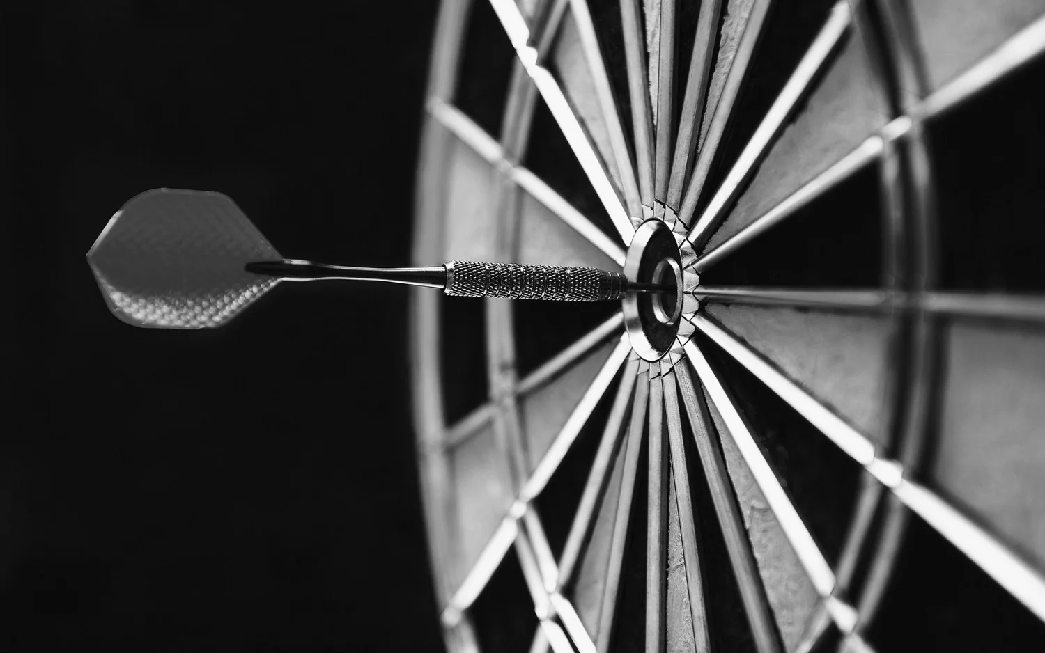 HOW TO CHOOSE AN AUTO TRANSPORT COMPANY