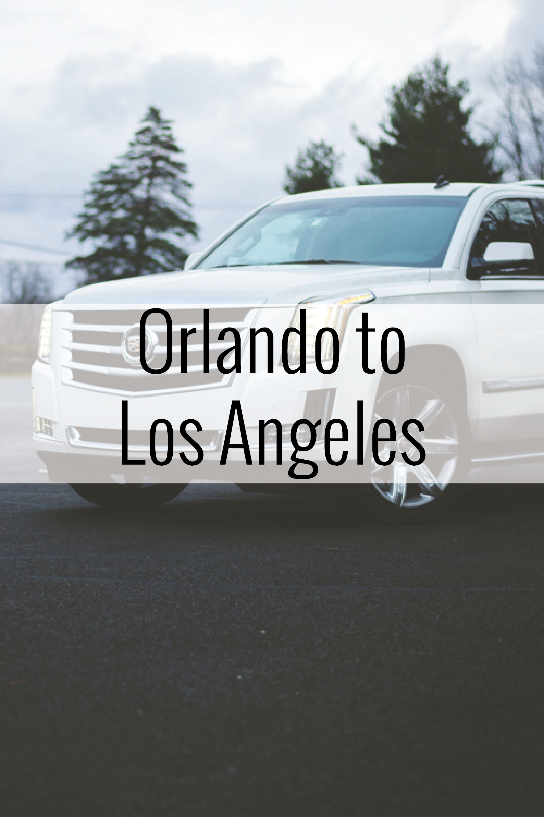 orlando.png